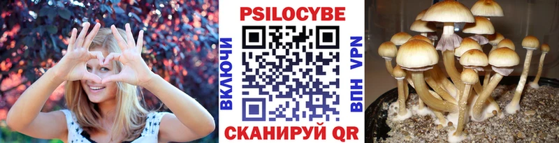 hydra как войти Сольцы Псилоцибиновые грибы ЛСД