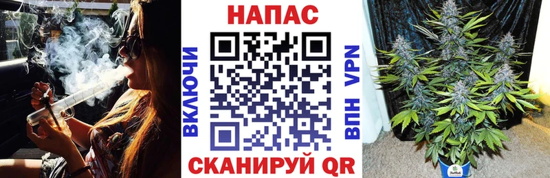 Конопля планчик  купить  сайты  Сольцы 